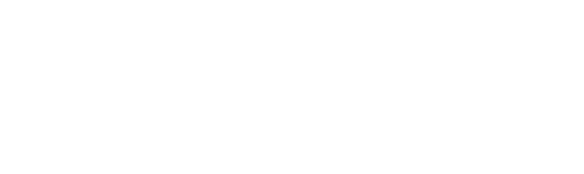 CaryGo